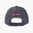 Gorra Tour Authentic Performance Gray