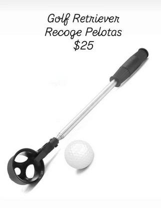 Recoge Pelotas