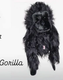 Cover Head Gorilla Daphne's