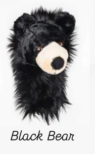 Cover Head Black Bear Daphne's