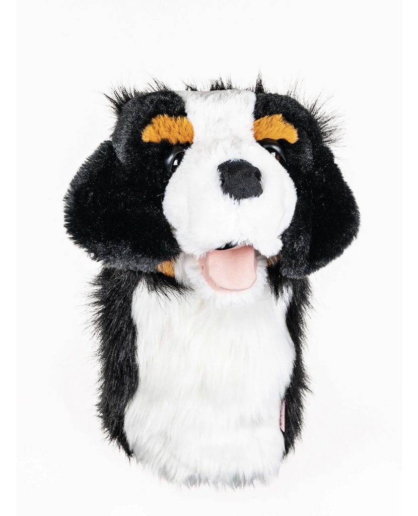 Perro de montaña bernés